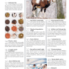 Quark 12/2018 - Image 2