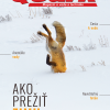 Quark 1/2025