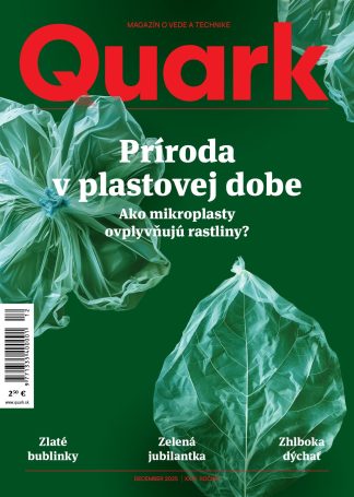 Quark 12/2025